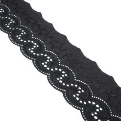Tira Bordada En Negro. 5,5cm Ancho