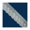 Tira De Organza Bordada Crudo 55mm