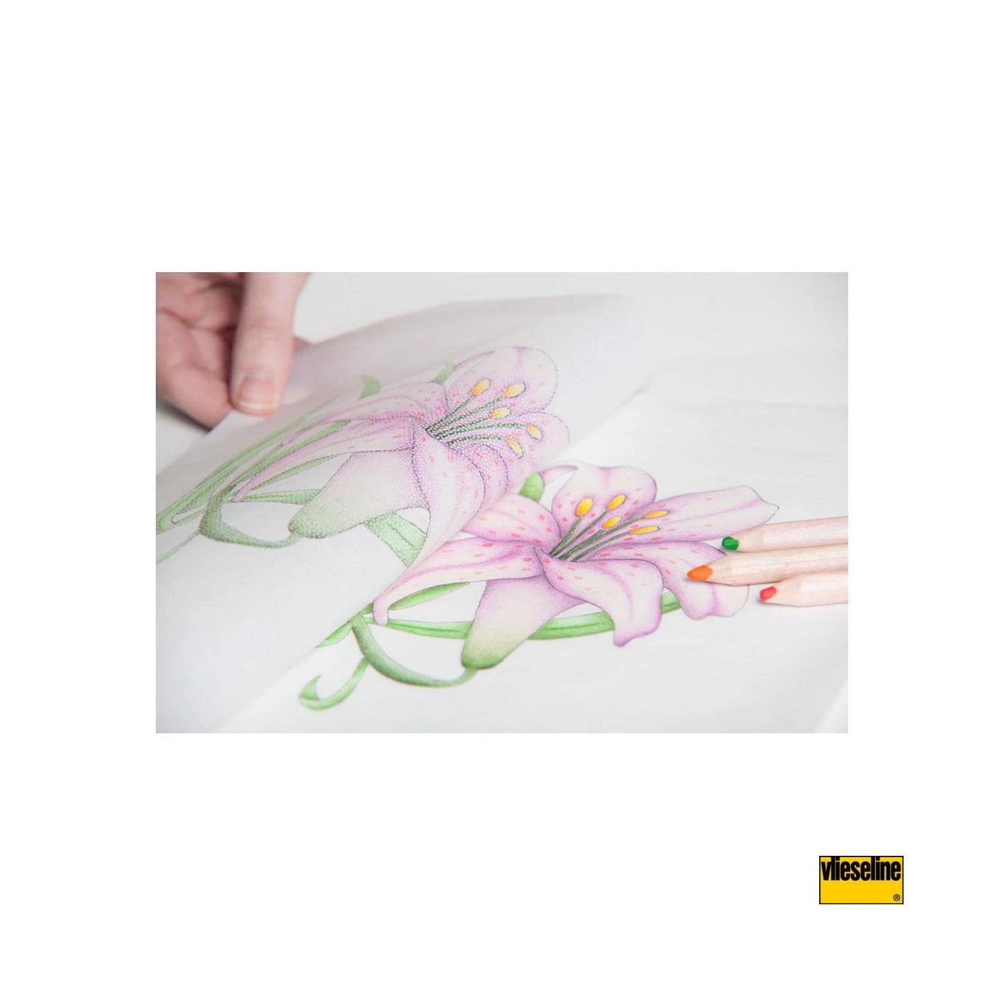 Transfer Termoadhesivo Para Dibujos Definidos. DIN A4 4 Transfer Termoadhesivo Para Dibujos Definidos. DIN A4 - Imagen 2